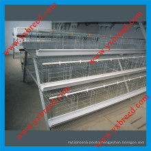 Pyramid Type Chicken Layer Cage